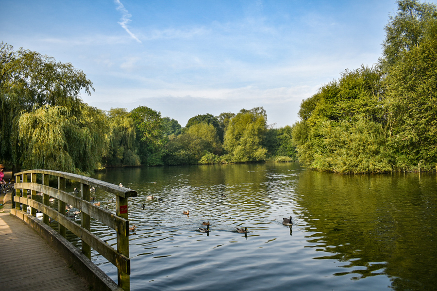 Stanborough Lakes, Welwyn Garden City, Hertfordshire.