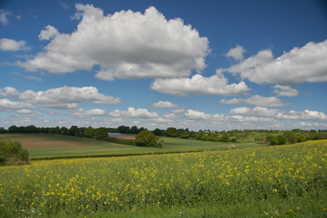 Hertfordshire Countryside