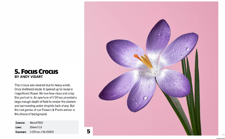 Andy Sears - N-Photo Photographer of the Year - Flowers and Plants Winnner.